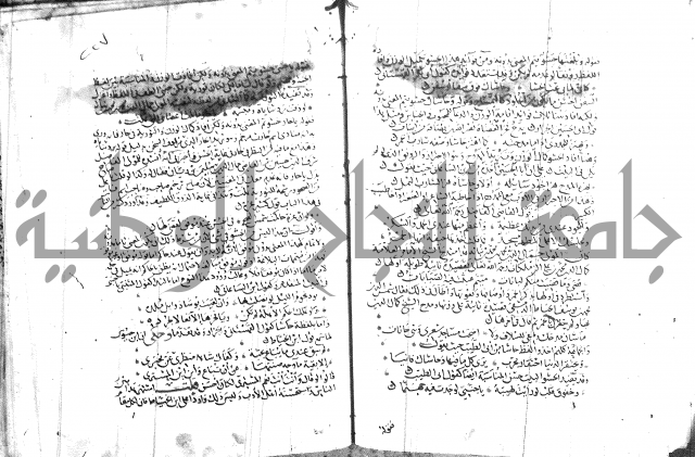 شرح لامية العجم 