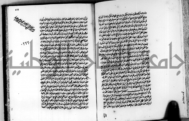 الجواهر الدورية في تنقيح الفتاوى الحامدية ج2 