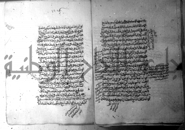 شرح الاشموني على الافية
