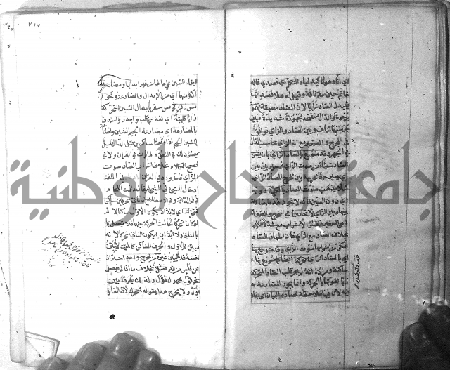 شرح الشافية 