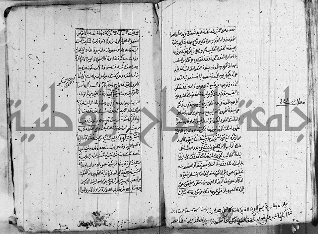 فوائد على الكافية 