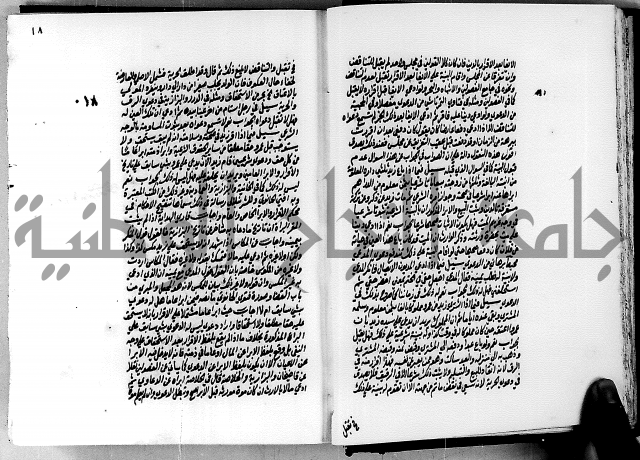 الجواهر الدورية في تنقيح الفتاوى الحامدية ج2 
