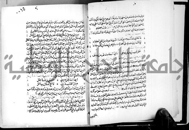 البحر الفائض في شرح ديوان ابن الفارض البوريني 