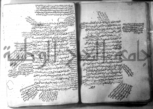 شرح الاشموني على الافية