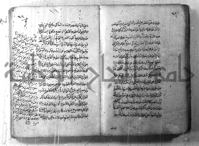 التفنن في الصرف