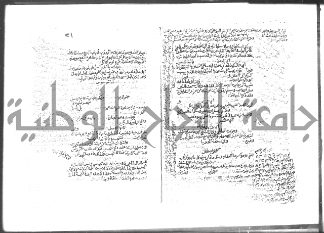 هذا شرح على معفوات إبن العماد = فتح الجواد بمنظومة إبن العماد