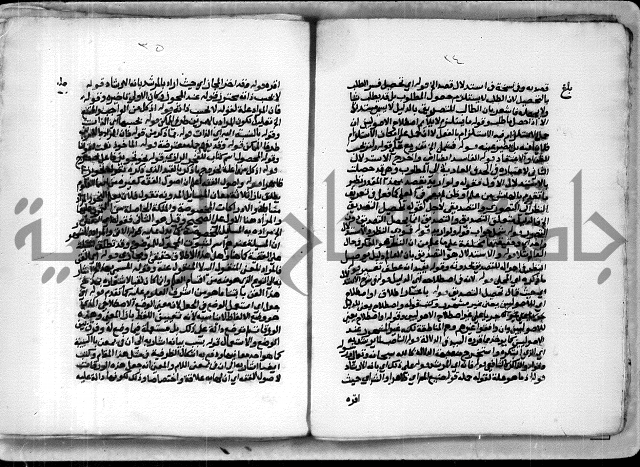 حاشية الشبراملي على شرح الورقات لابن قاسم العبادي