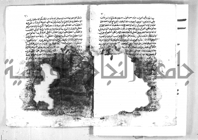 الهدهدي 