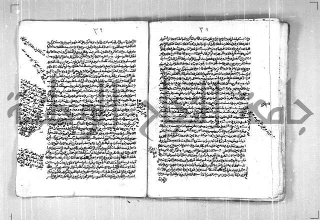فتح الجليل  على شرح ابن عقيل 