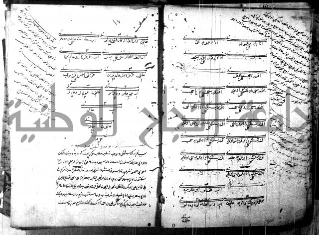 كتاب بالتركيه