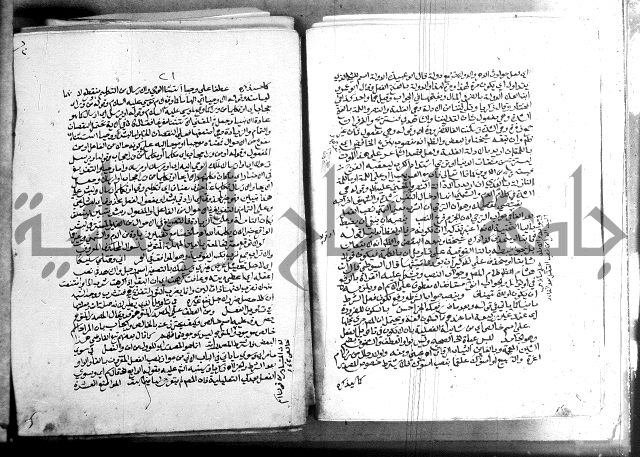 كتاب في اللغة العربية