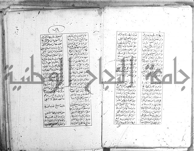 خلاصة التنوير 