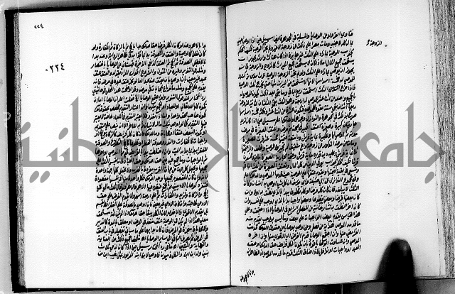 الجواهر الدورية في تنقيح الفتاوى الحامدية ج2 