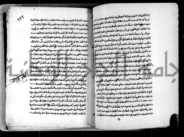 شرح ثلاثيات المسند ج1 