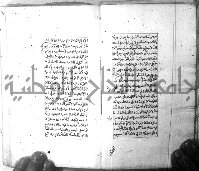 شرح الشافية 