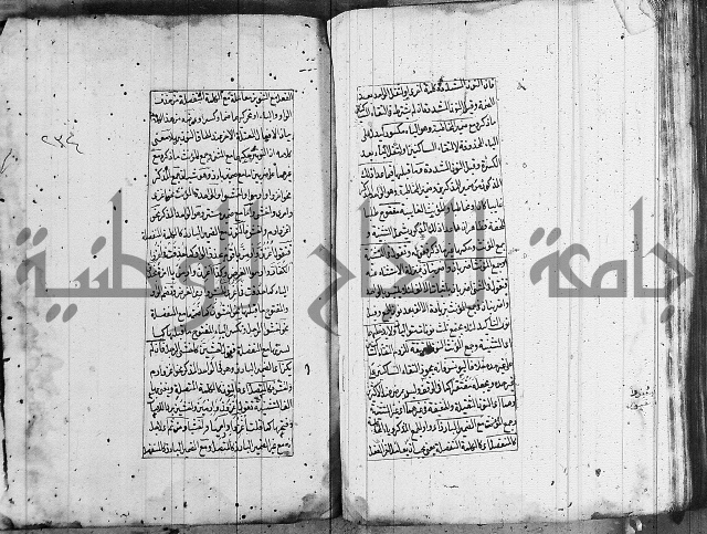 فوائد على الكافية 