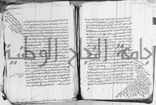 الزيادي على المنهج 