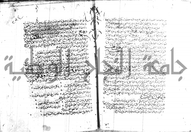 شرح لامية العجم 