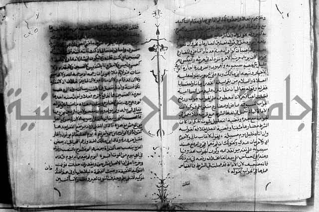 العقود الجوهرية 