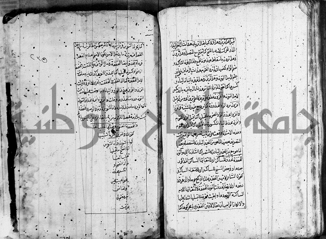 فوائد على الكافية 