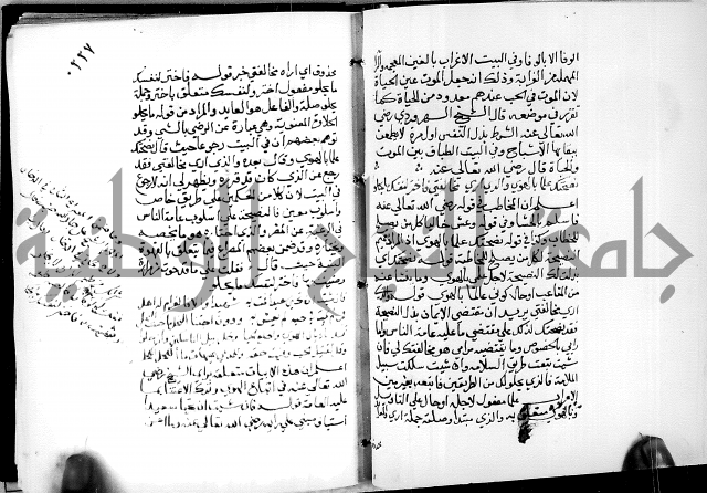 البحر الفائض في شرح ديوان ابن الفارض البوريني 