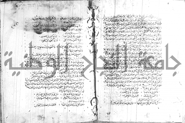 شرح لامية العجم 