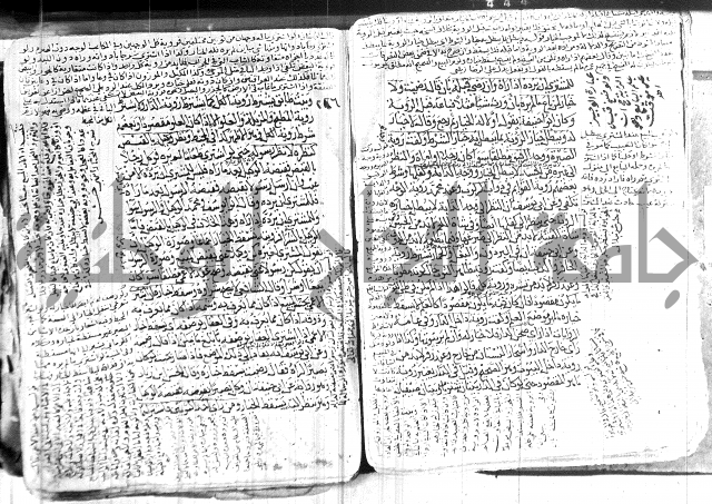 كنز الدقائق