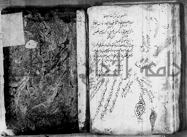 فوائد على الكافية 