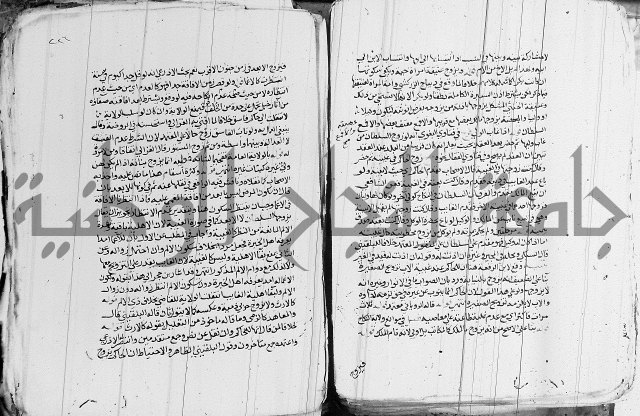 الزيادي على المنهج 