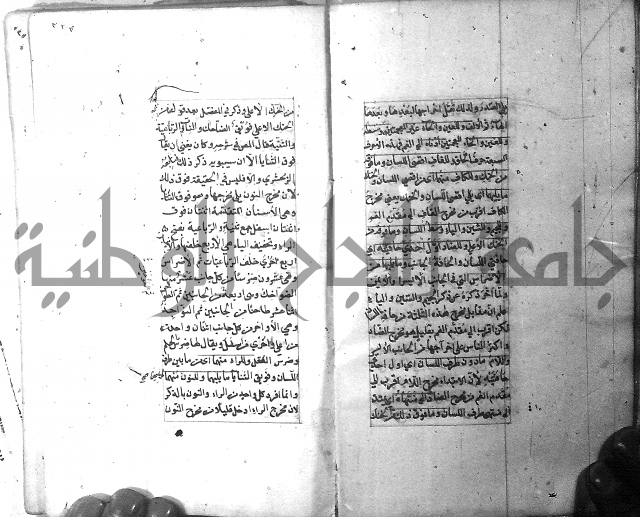 شرح الشافية 