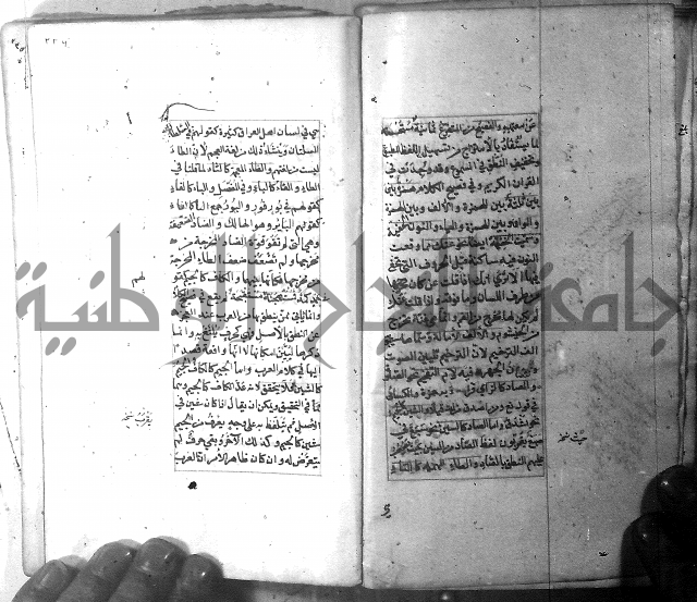 شرح الشافية 