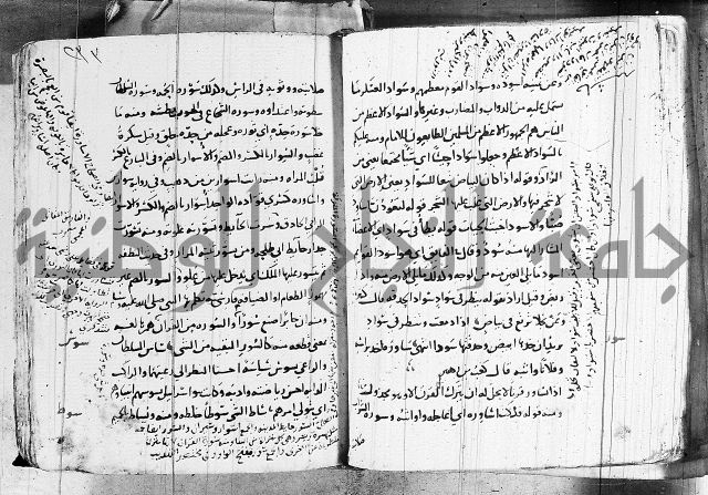 التقريب في علم الغريب