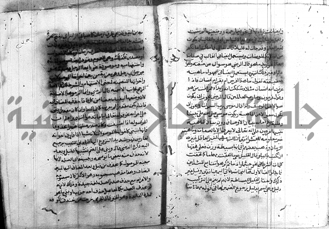 العقود الجوهرية 