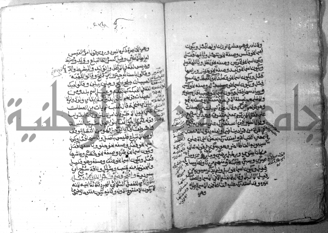 شرح الاشموني على الافية