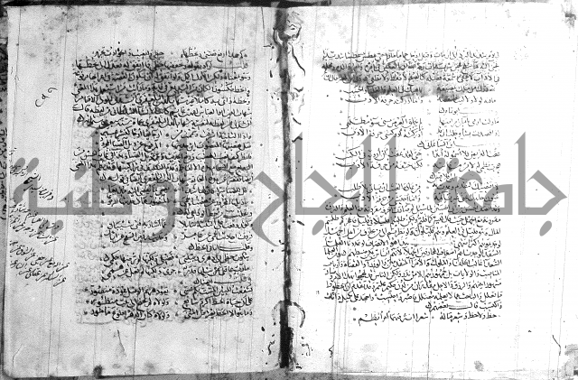 شرح لامية العجم 