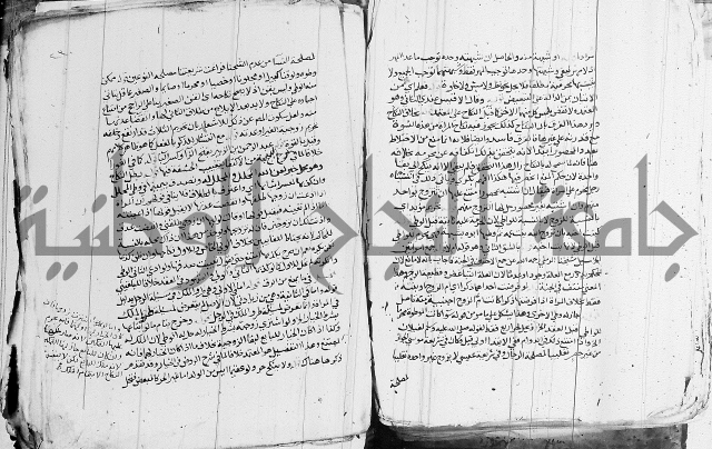 الزيادي على المنهج 