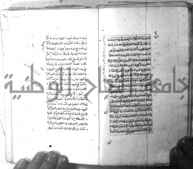 شرح الشافية 