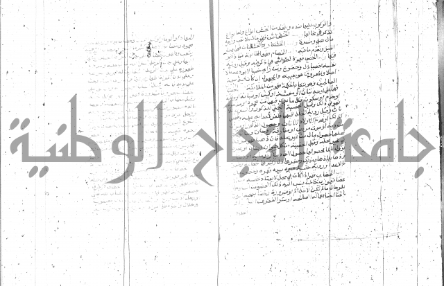 التعريفات الهامة