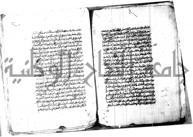 شرح شذور الذهب لابن هشام