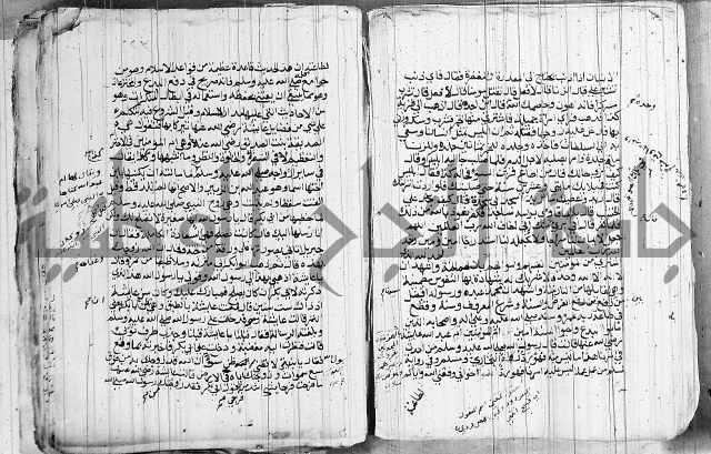 المجالس السنية