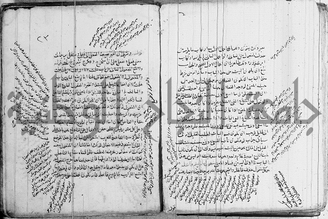 نحو - شرح الكافية