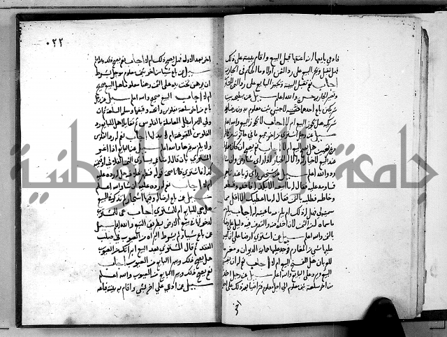 الفتاوى الامينية