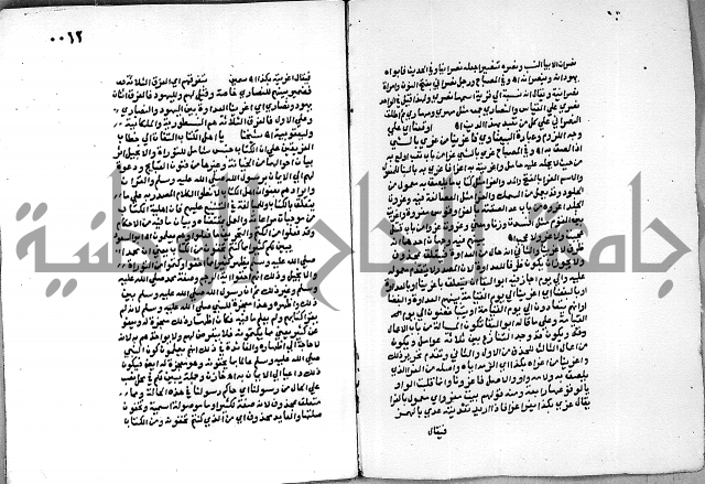 حاشية الجمل على الجلالين 