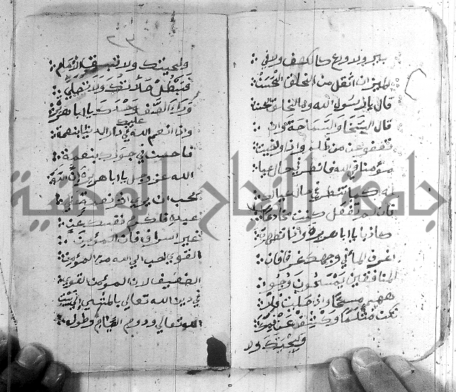 قصة ابي هريرة 