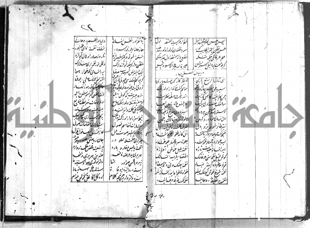 نظم تركي