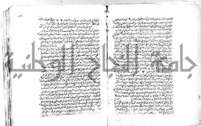 الفتوحات الالاهية
