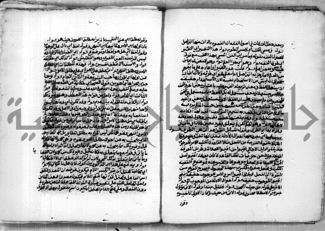 حاشية الشبراملي على شرح الورقات لابن قاسم العبادي
