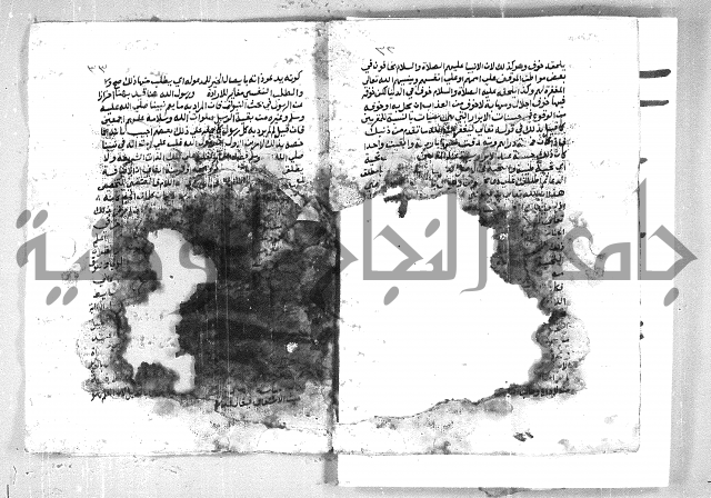 الهدهدي 