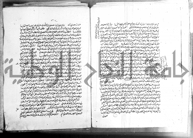 كتاب في اللغة العربية