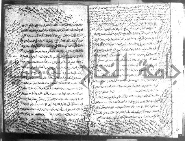 منية الفتى 